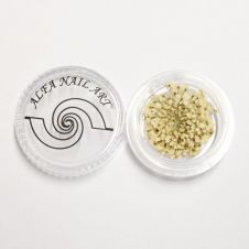 Száraz Bodza FEHÉR